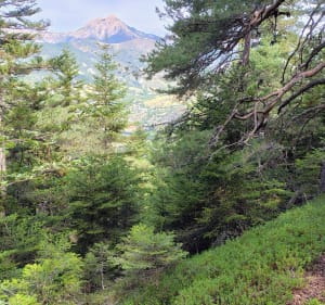 Boucle jusqu'au sommet de la Sapée et Col du Défens - Tartonne - 5