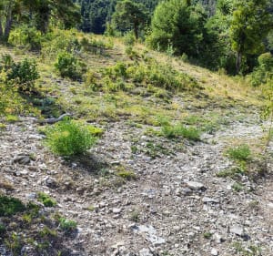 Boucle jusqu'au sommet de la Sapée et Col du Défens - Tartonne - 2