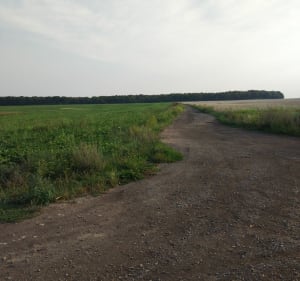 Balade à pied à Fosses et ses chemins - Fosses - 2