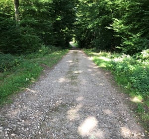 Boucle entre Biding, Cappel et Barst - Biding - 4