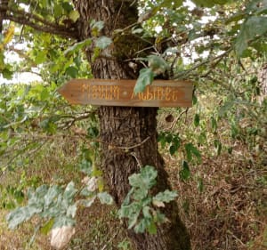 Sainte-Juliette-sur-Viaur e sa balade au bord de l'eau - Cassagnes-Bégonhès - 4