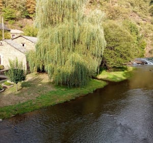Sainte-Juliette-sur-Viaur e sa balade au bord de l'eau - Cassagnes-Bégonhès - 2