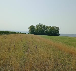 Balade autour de l'antenne de Nordheim - Nordheim - 3