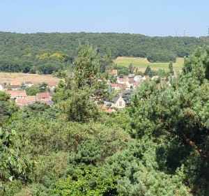 Boucle nature depuis Cerny - Cerny - 2