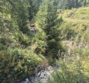 La Couaz, Champagny le haut - Champagny-en-Vanoise - 3