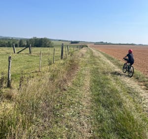 Autour d'Humbert et Hénoval - Humbert - 3