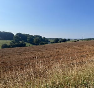 Autour d'Humbert et Hénoval - Humbert - 4