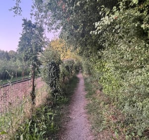Tour du parc de l’étang et Brissac-Quincé - pauline - 3