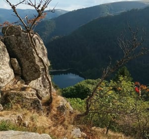 Départ le Honneck, kastelberg, lac de schiessrothried.... - La bresse - 3