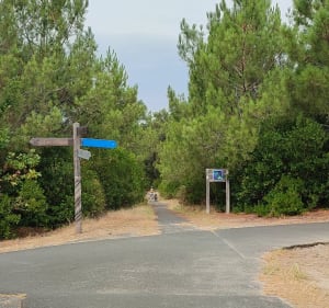 Le Canon / Pirraillan - Lège-Cap-Ferret - 3