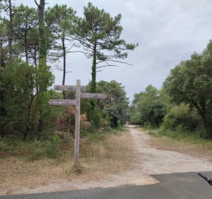 Le Canon / Pirraillan - Lège-Cap-Ferret - 5
