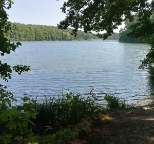 Spacer 17km - Szczecin - 3