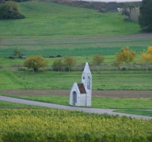 Balade dans les Hautes Côtes de Nuits - Corgoloin - 2