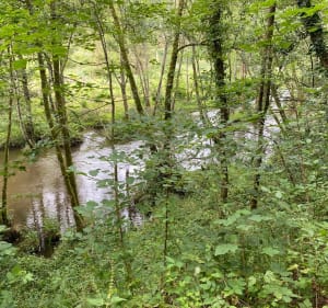 Balade à Sauret Bessevre et ses environs - Sauret-Besserve - 5