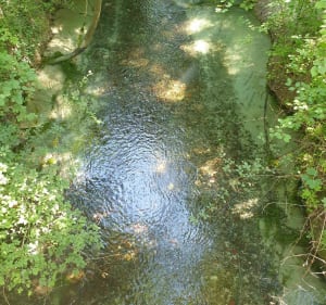 Petite balade en forêt le long d'un ruisseau autour de Glaserswoerth - Robertsau - 5