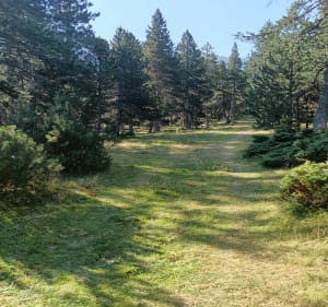 Vallée de Planes - Planès - 5