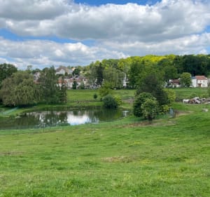 Balade autour de Seraincourt - Gaillon-sur-Montcient - 5