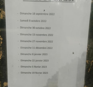Balade en Forêt de Sézanne et ses vignes - Sézanne - 4