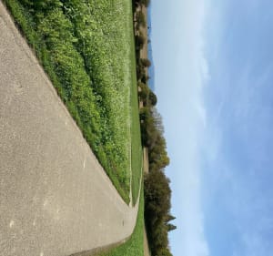 Balade entre Didenheim Morschwiller-le-bas et Mulhouse - Brunstatt-Didenheim - 5
