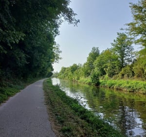 Randonnée entre chemins de halage et réserve naturelle du Bois du Parc - Mailly-le-Château - 4
