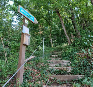 Randonnée entre chemins de halage et réserve naturelle du Bois du Parc - Mailly-le-Château - 2