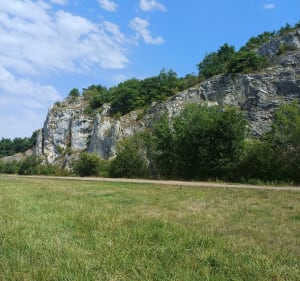 Randonnée entre chemins de halage et réserve naturelle du Bois du Parc - Mailly-le-Château - 5