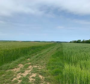 Balade entre Hestrus et Eps - Hestrus - 5