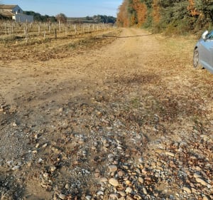 Balade dans les vignes de Courthézon et Château de Vaudieu - Courthézon - 3