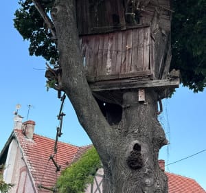 Jagodno - Dolina Bystrzycy - Jagodno - Wrocław - 3