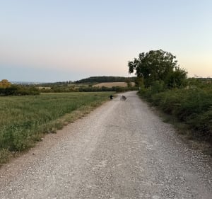 Tour Haureville - Hauteville-lès-Dijon - 5