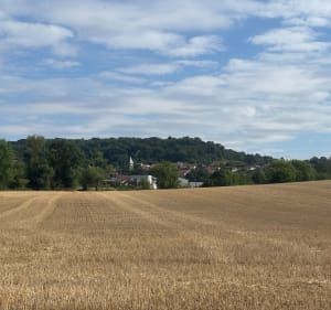 Les 7 cartes Wewards à Eulmont - Eulmont - 4