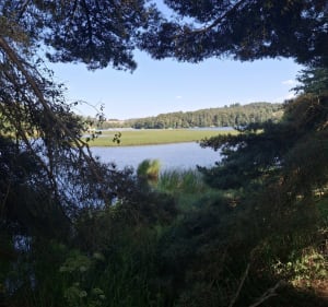 Randonnée du Lac du Moulinet - Peyre en Aubrac - 5
