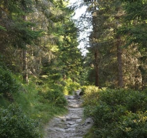 Szpindlerowy Młyn - Predni Planina - Špindlerův Mlýn - 2