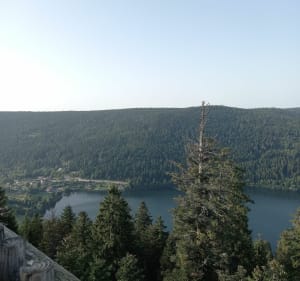 Vu depuis la Tour de Merrelle - dominique - 3