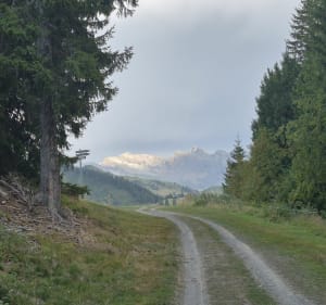 Boucle les Perrières & Pointe de la Turche (Les Gets) - Les Gets - 5