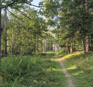 Boucle les Perrières & Pointe de la Turche (Les Gets) - Les Gets - 3