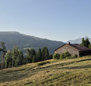 Boucle les Perrières & Pointe de la Turche (Les Gets) - Les Gets - 2