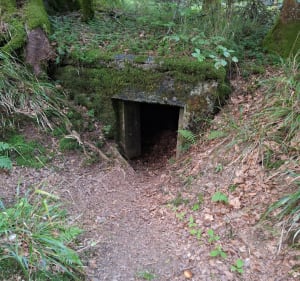 Cimetière militaire, fortification Donon - Grandfontaine - 4
