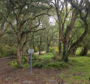Camping de Cap de l Homy et Source de Yons - Lit-et-Mixe - 2
