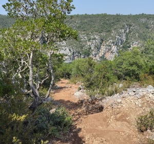 Gorges du Verdon à Quinson de Montmeyan - Montmeyan - 5