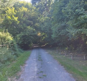 Neufvy sur Aronde/Moyenneville/Wacquemoulin - Neufvy-sur-Aronde - 3