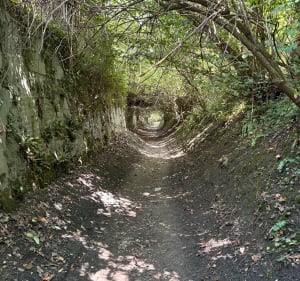 Boucle entre Villers-sur-Mer, Auberville et Gonneville - Villers-sur-Mer - 3
