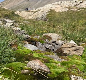 Boucle du Cristalliser - Les Deux Alpes - 3
