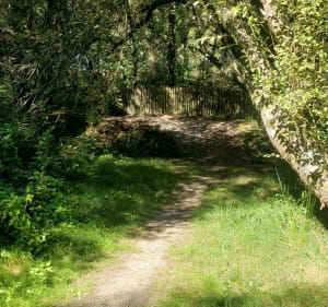 Boucle autour de Plouhinec - Plouhinec - 3