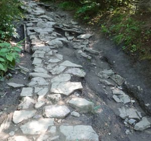 Jaworki - Wąwóz Homole - Wysoka - Szczawnica - Jaworki - 4