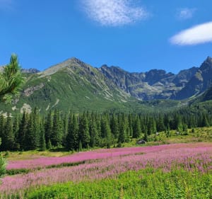 Kasprowy Wierch - Beskid - Przełęcz Liliowe - Zakopane - 3