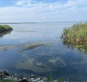 Trasa wałem przeciwpowodziowym do mariny w Lubczynie - Szczecin - 4