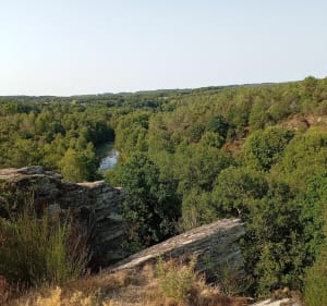 De la forêt, un bord de lac, des mégalithes à Saint-Just - Saint-Just - 2