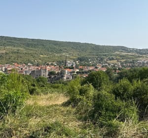 VTT enfant dans les vergers de la Monne - Saint-Amant-Tallende - 3