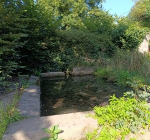 Petits chemins autour de Saussemesnil - Saussemesnil - 3
